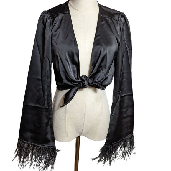 Wayf Black Satin and Feather Crop Top NWT - Picture 1 of 6